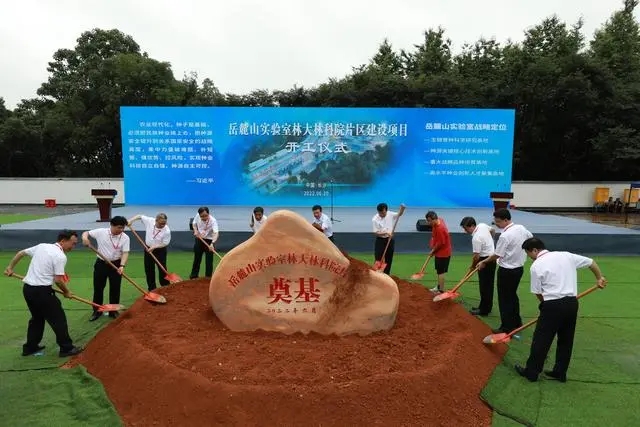 破解“種子遺傳密碼” 岳麓山實驗室為民族種業(yè)鍛造“湖南芯”