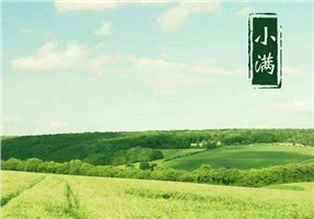 【節(jié)氣】今天，小滿撞上“520”！小得盈滿，守望幸福